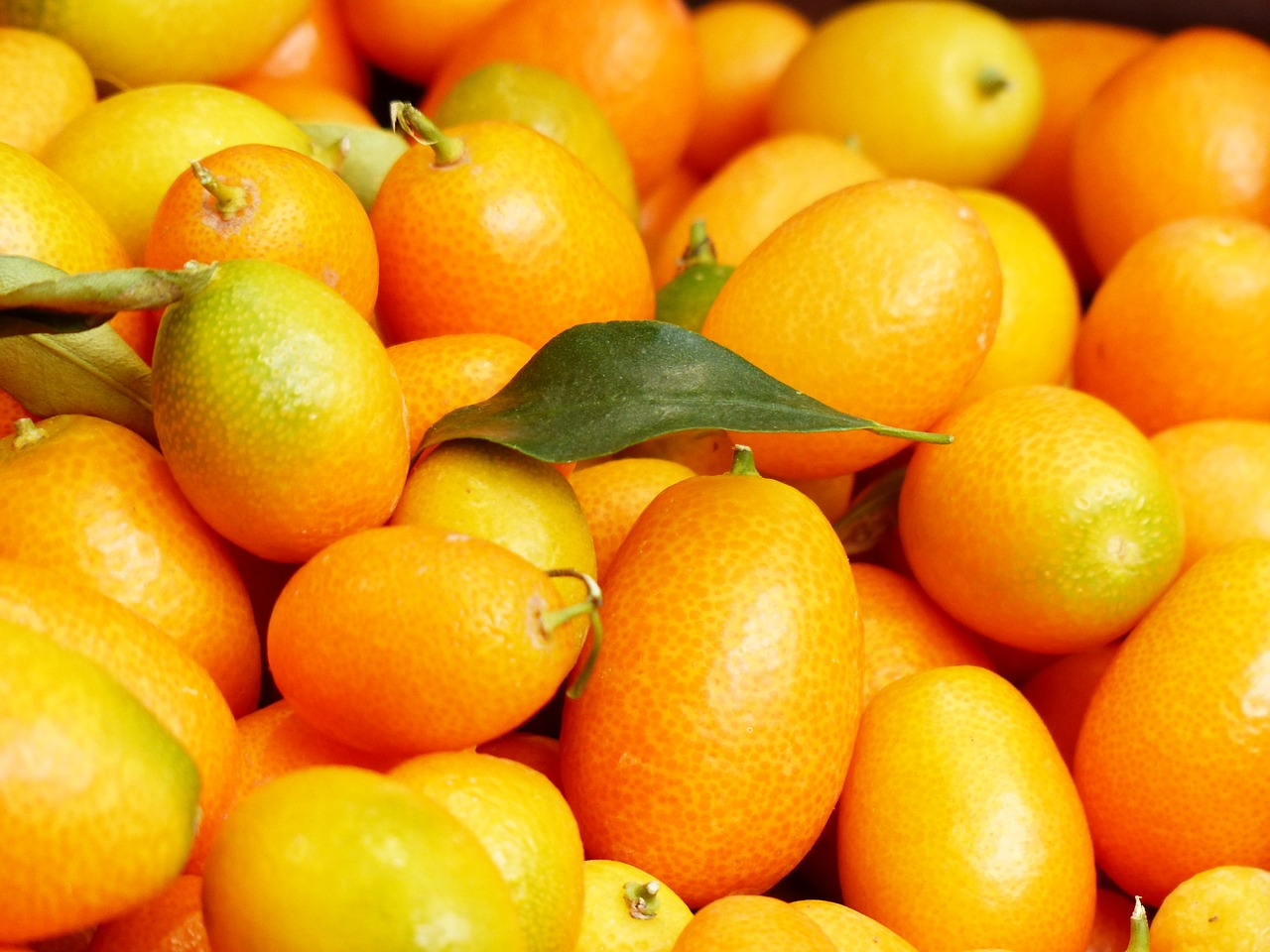Kumquat and Fennel Smash